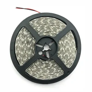 Gyors szállítás Avide 24V LED szalag