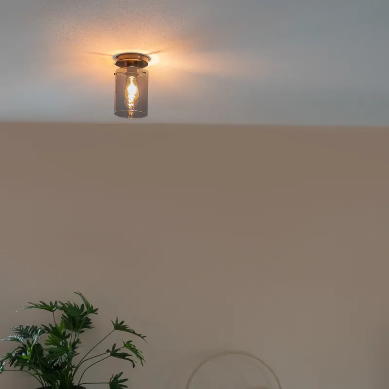 Biztonságos fizetés Design mennyezeti lámpa fekete füstüveggel - Dome