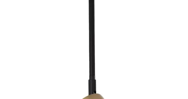 Végkiárusítás Sigma Nemo fekete-arany mennyezeti lámpa (SIG-41086) GX53 1 izzós IP20