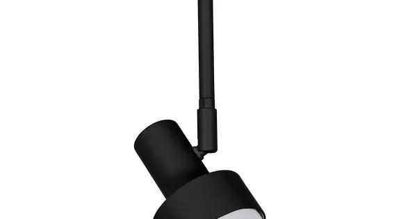 Vedd meg most Sigma Mona fekete-fehér mennyezeti lámpa (SIG-40898) GX53 2 izzós IP20