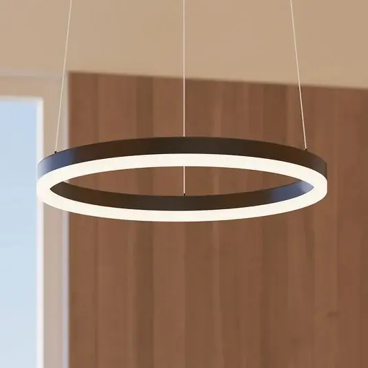 Kiárusítás Arcchio Albiona LED lógó világítás, fekete, 1 gyűrű, Ø 40 cm