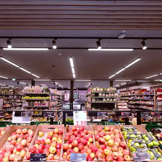 Utolsó esély LED sín spotlámpa Lucea 3 fázisú 15 W fekete