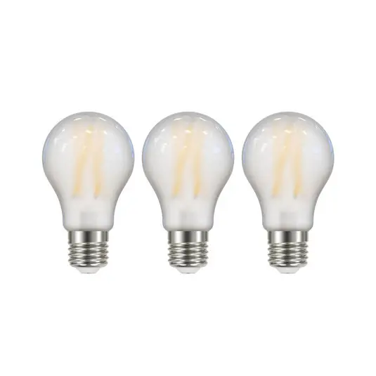 Biztonságos fizetés LED izzó izzó izzószál matt E27 A60 2,2W 3000K 470lm 3er