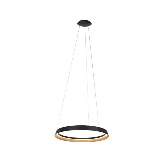 Utolsó esély Ringlux LED-es függőlámpa, 1-lámpás, fekete, fém