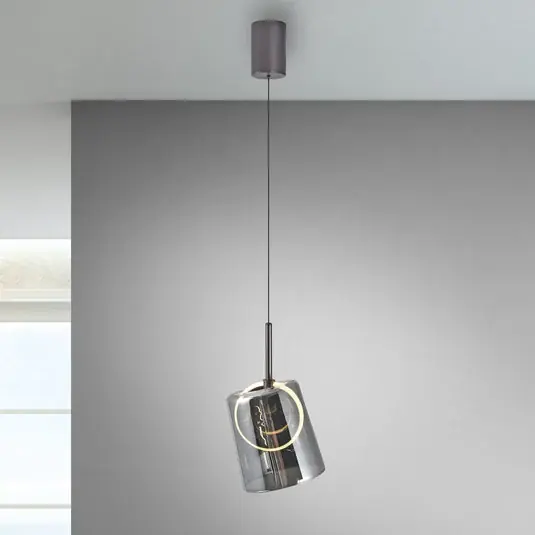 Biztonságos fizetés Paul Neuhaus LED-es függőlámpa Zula, füstszürke, Ø 15 cm, üveg