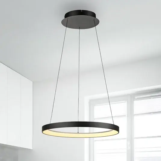 Azonnal elérhető Paul Neuhaus LED-es függőlámpa Hoop, fekete, Ø 57 cm, dimmelhető
